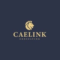 Caelink Consulting 